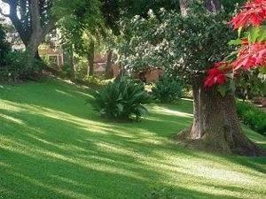 Hotel Posada Maria Cristina Cuernavaca Eksteriør bilde